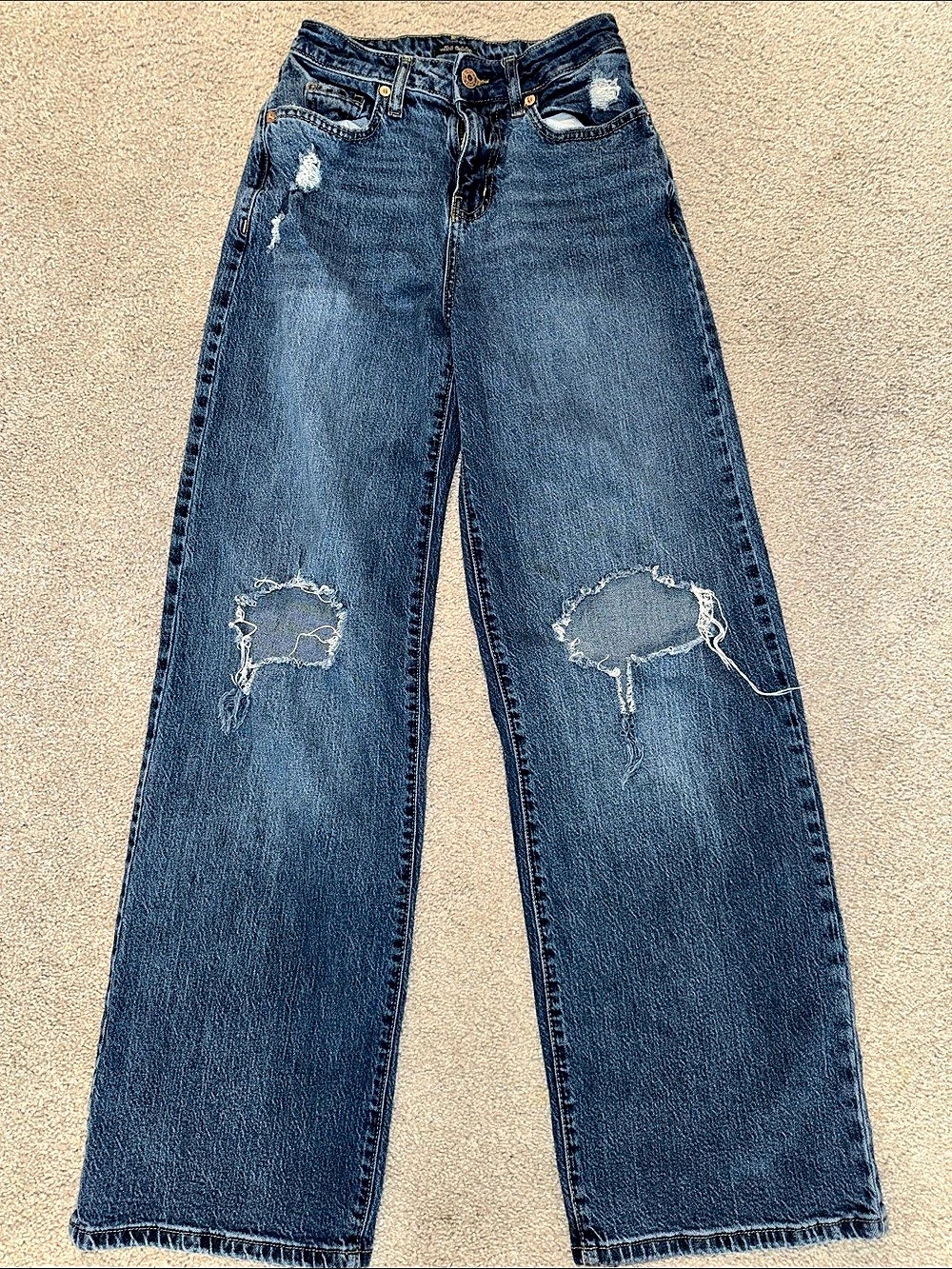 Wild Fabel High-Rise Baggy Jean Wide Leg Distressed Jeans in Blue Size 0